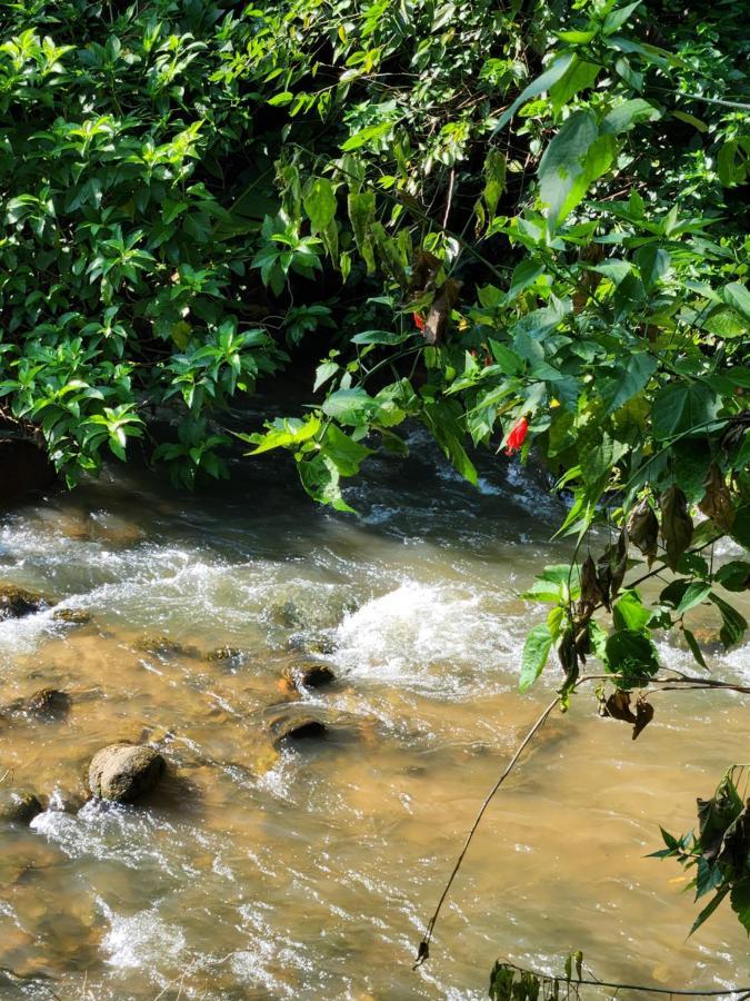 Hospedaria E Camping Quintal Do Mundo Лумиар Екстериор снимка